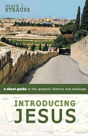 Introducing Jesus book cover